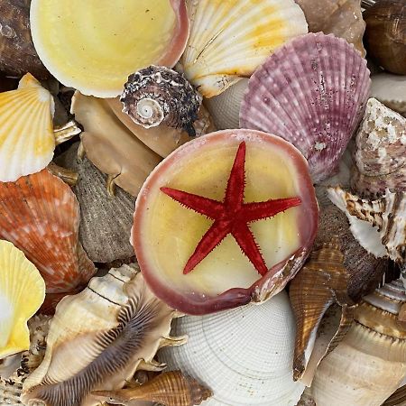 Apartmán Casa Repasi Sferracavallo Exteriér fotografie